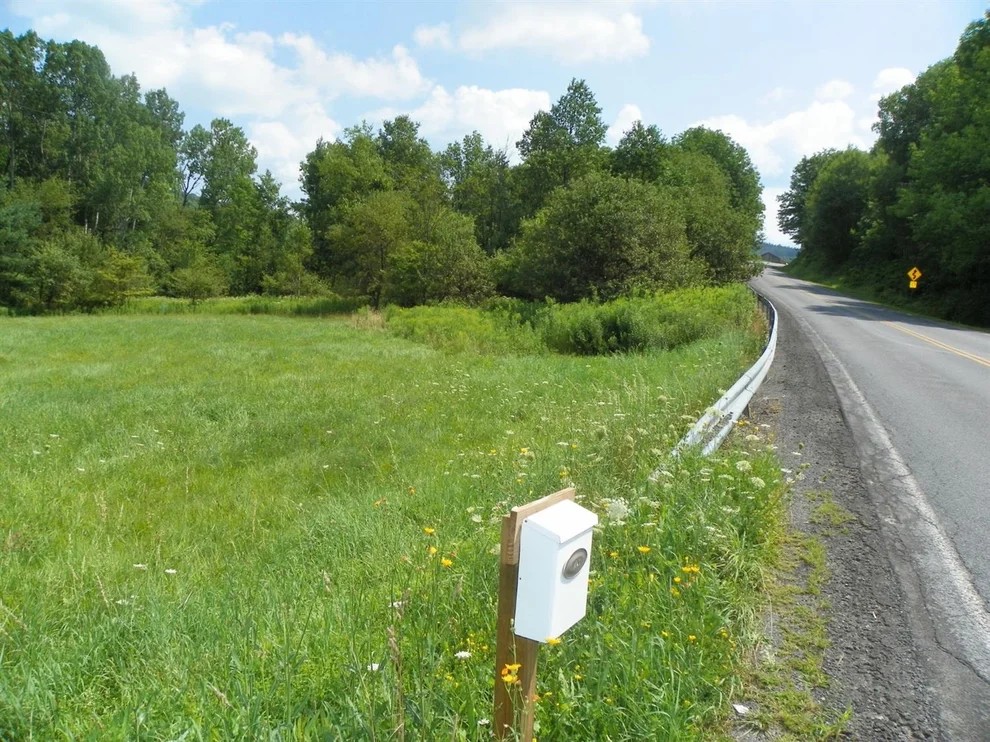 Unit for sale at 0 County Highway 23, Sidney, NY 13838