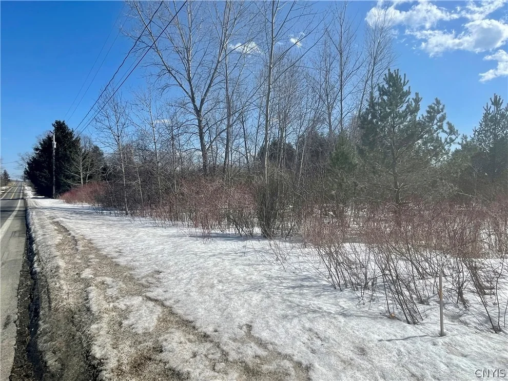 Unit for sale at 0 Co Rt 41, Mexico, NY 13114