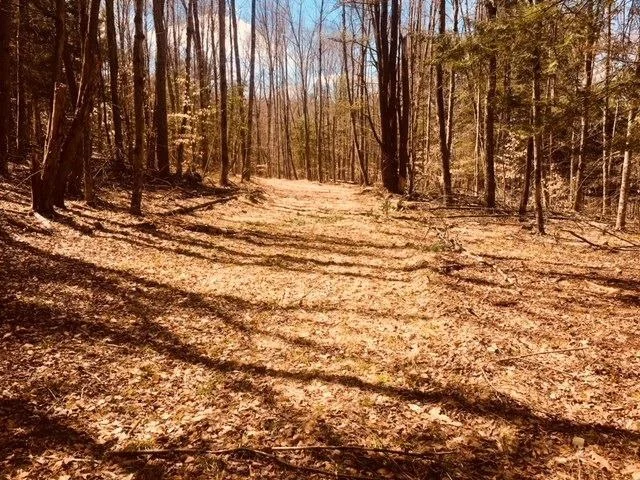 Unit for sale at 0 County Road 35, Guilford, NY 13780