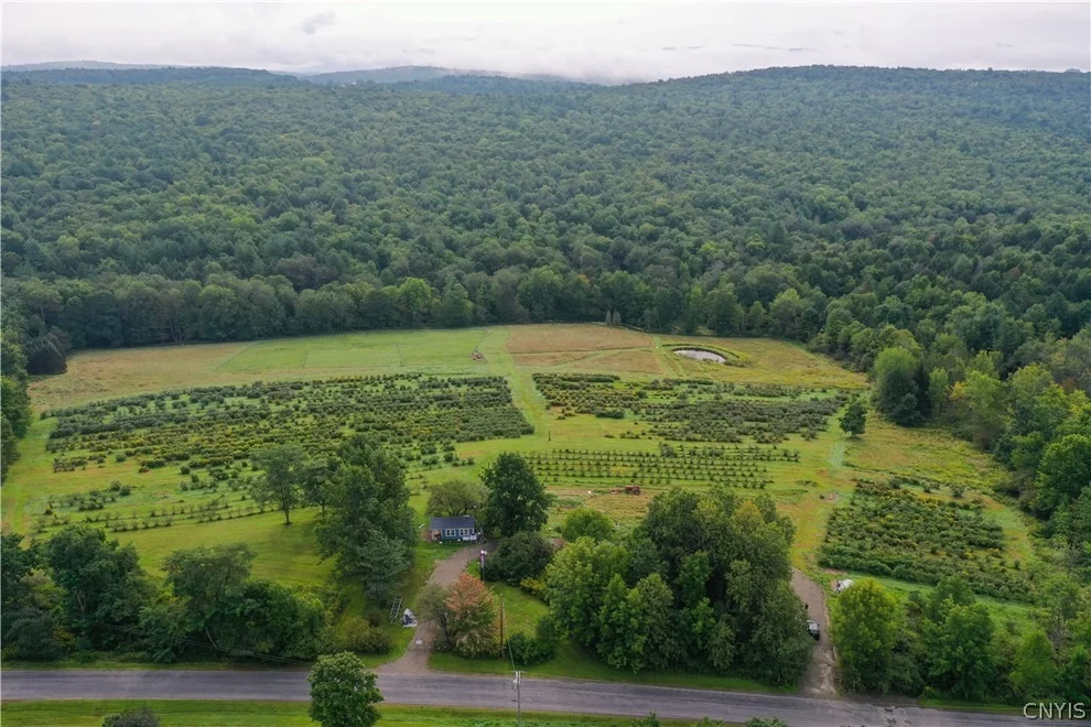 Unit for sale at 362 Stone Hill Road, Coventry, NY 13730