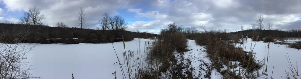 Unit for sale at 1273 Phelps Rd Road, Potter, NY 14507