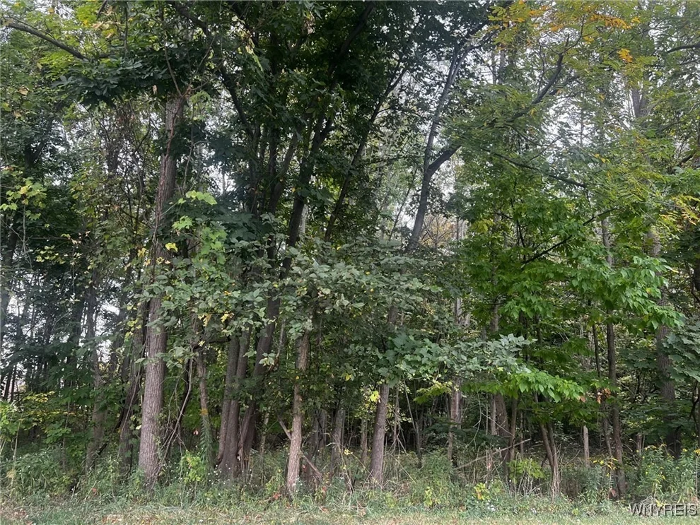 Unit for sale at 573 Niagara Street, Lockport City, NY 14094