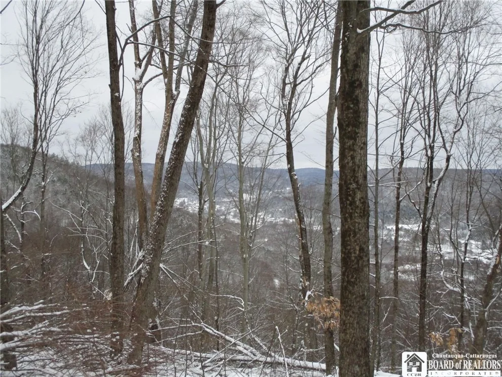 Unit for sale at 0 Green Rd, Genesee, NY 14754