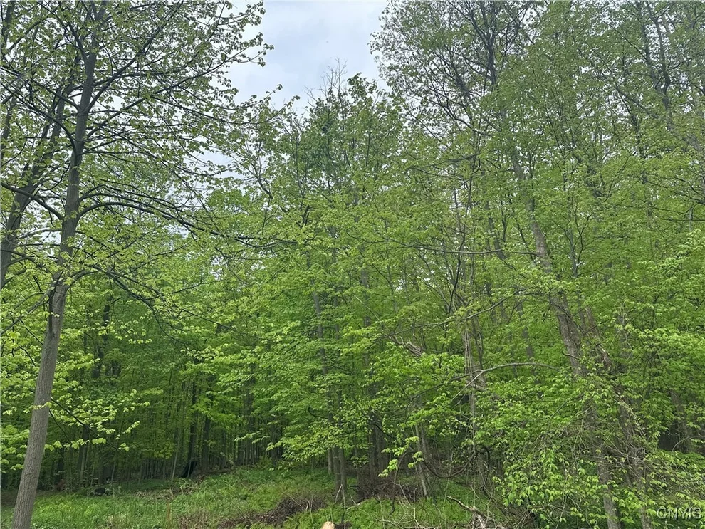 Unit for sale at 2460 Hitchings Road, Otisco, NY 13084