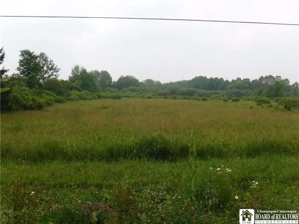 Unit for sale at 0 Wellman, Busti, NY 14710