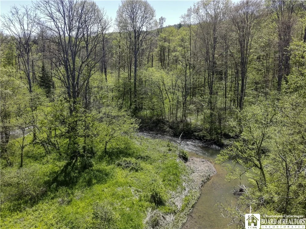 Unit for sale at 1581 Chipmonk Road, Carrollton, NY 14706