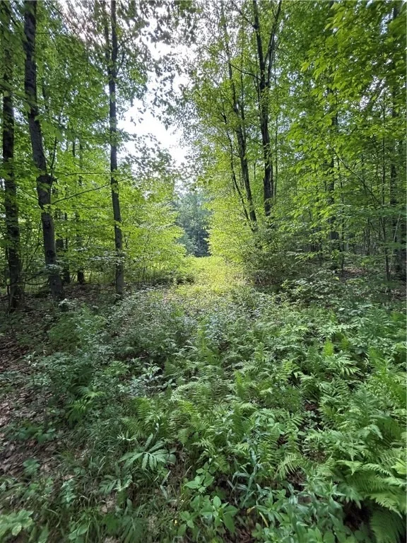 Unit for sale at 172 Aurora Drive, Norwich, NY 13815
