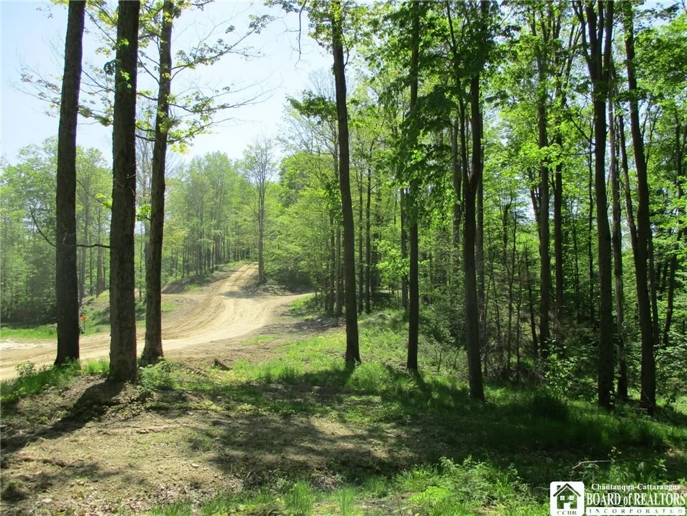 Unit for sale at 0 Geiger Hollow Road, Allegany, NY 14706