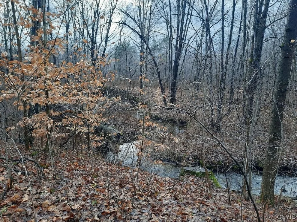 Unit for sale at 00 Cemetery Road, Hannibal, NY 13074
