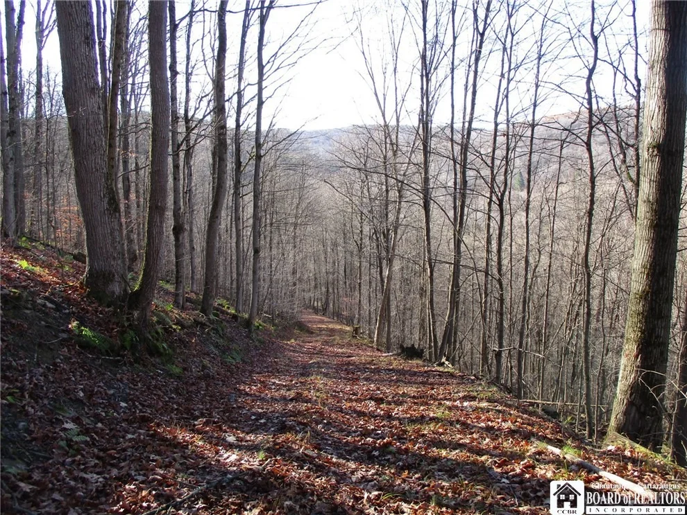 Unit for sale at Bloye Road, Ischua, NY 14737