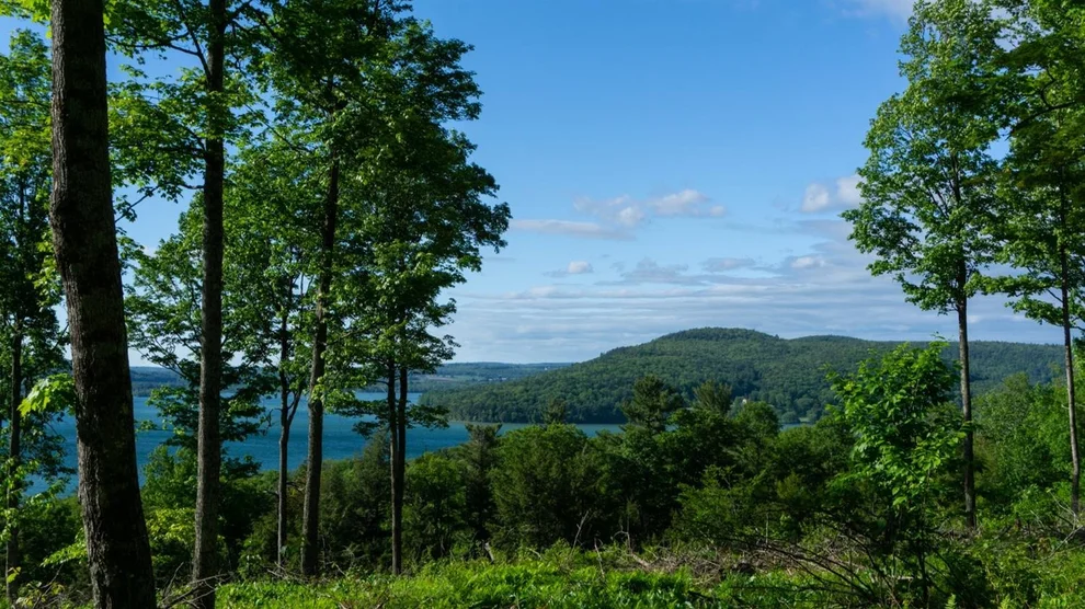 Unit for sale at 0 County Highway 31 Lot#3, Middlefield, NY 13326