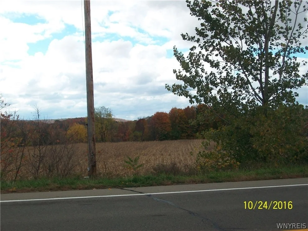 Unit for sale at 0 US ROUTE 219 Highway, Ashford, NY 14171