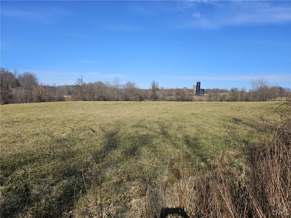 Unit for sale at Lot 6 Ryan Road, Brutus, NY 13166