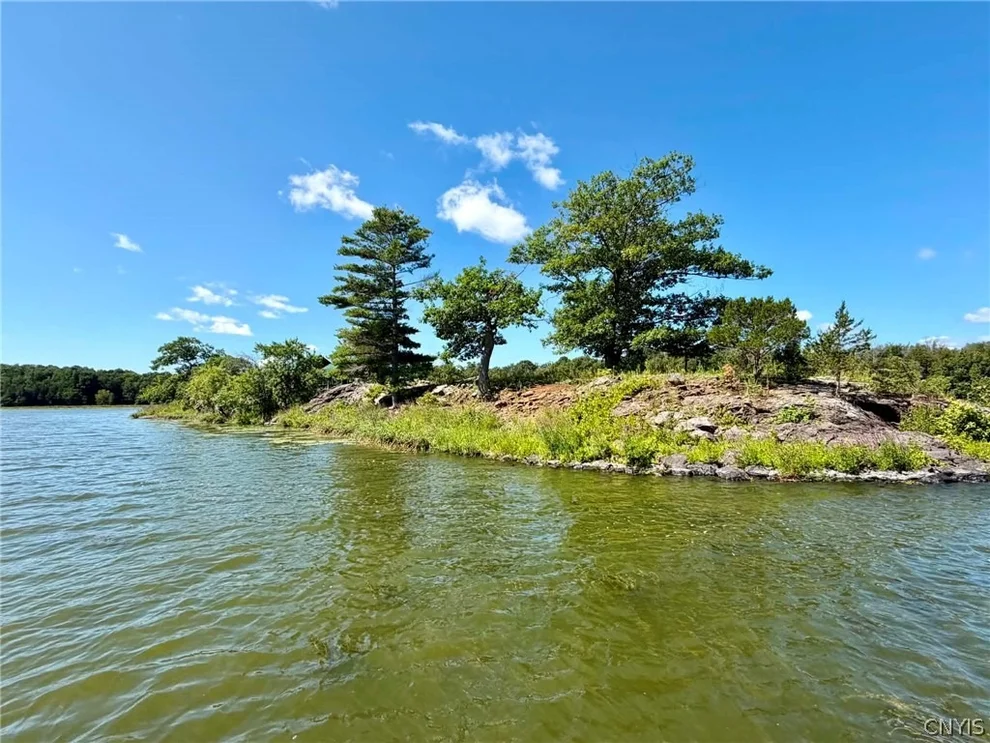 Unit for sale at 0 Snake Island, Morristown, NY 13664