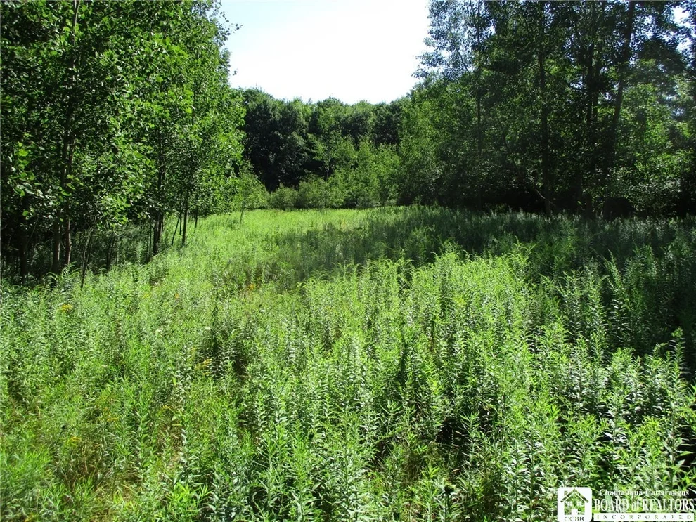 Unit for sale at 0 County Rd 18, Alma, NY 14895