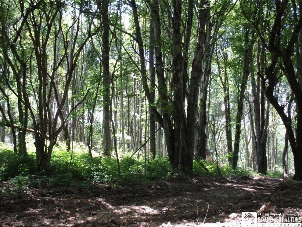 Unit for sale at 0 off ST RT 16, Farmersville, NY 14737