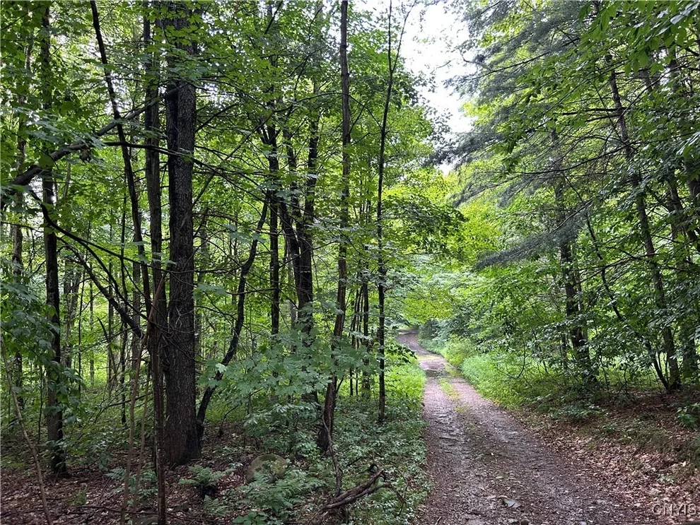 Unit for sale at Rt-13, Williamstown, NY 13302