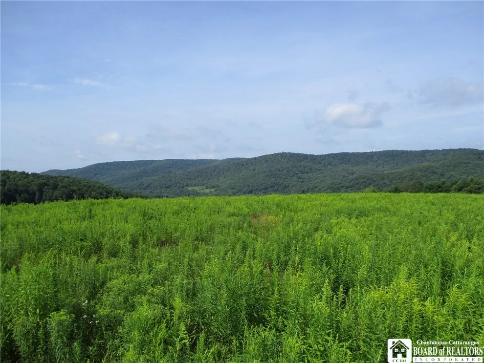 Unit for sale at 2776 State Route 305, Clarksville, NY 14715