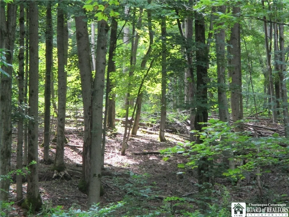 Unit for sale at 1595 Yankee Hill, Franklinville, NY 14743
