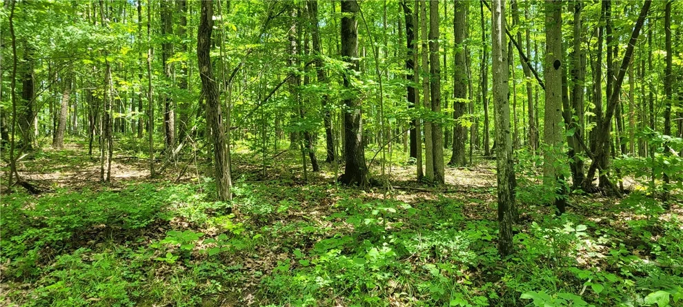 Unit for sale at Hagerman Road, Chemung, NY 14825