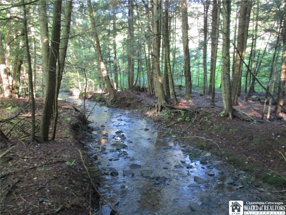 Unit for sale at 0 California Hollow, Bolivar, NY 14715