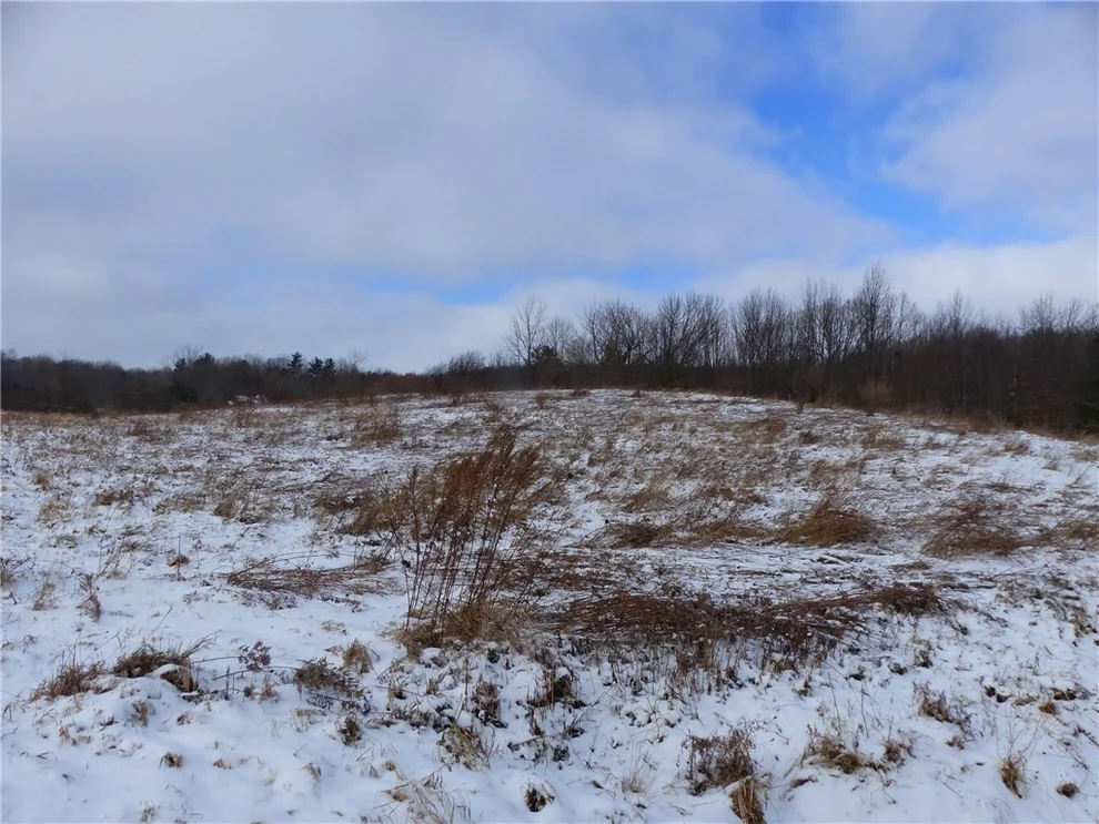 Unit for sale at 0 Road 37, Canadice, NY 14560