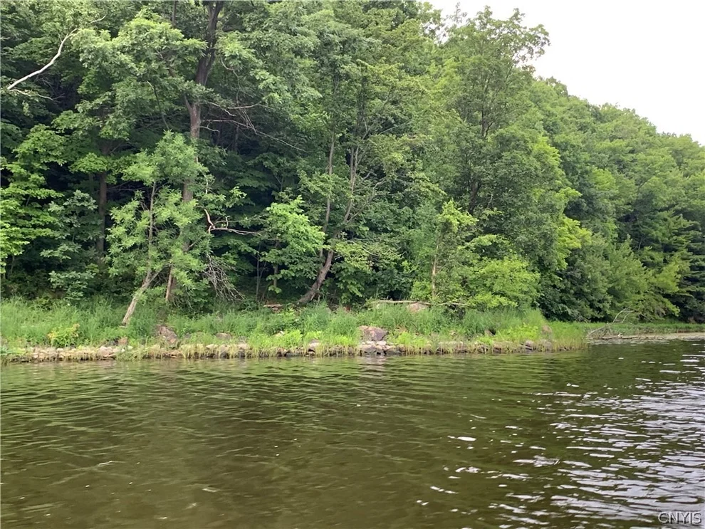 Unit for sale at 0 Black, Hammond, NY 13664
