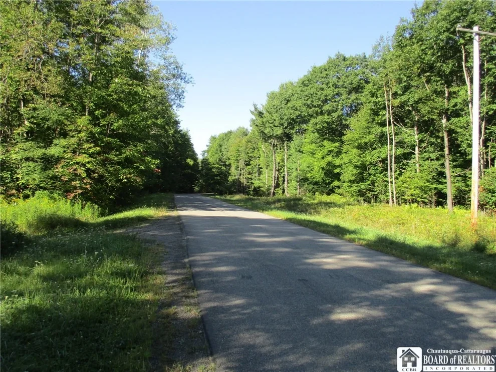 Unit for sale at 0 White Hill Road, Alma, NY 14895