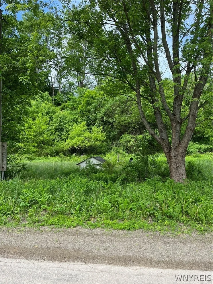 Unit for sale at 3999 GILE HOLLOW RD, Hinsdale, NY 14743