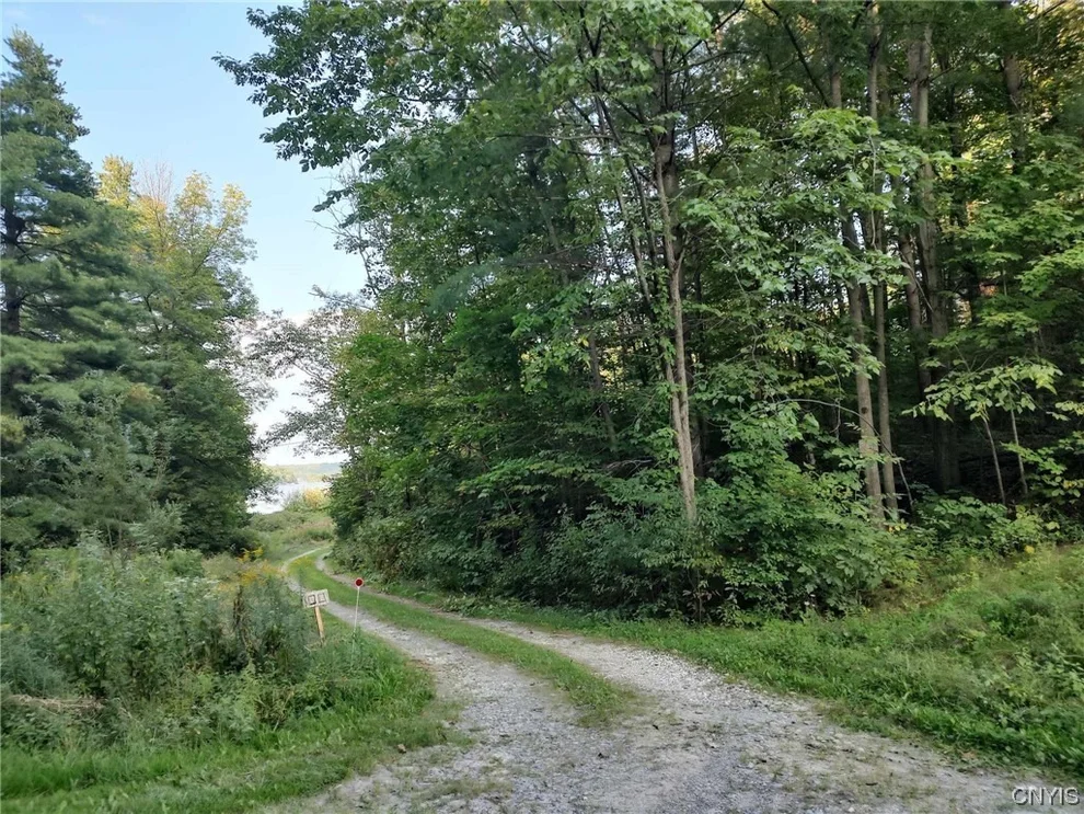 Unit for sale at 0 Chapman Point Rd/Pvt, Hammond, NY 13646