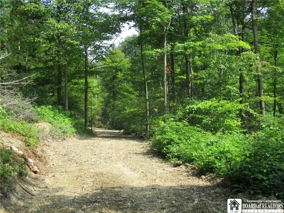 Unit for sale at 0 Button, Humphrey, NY 14706