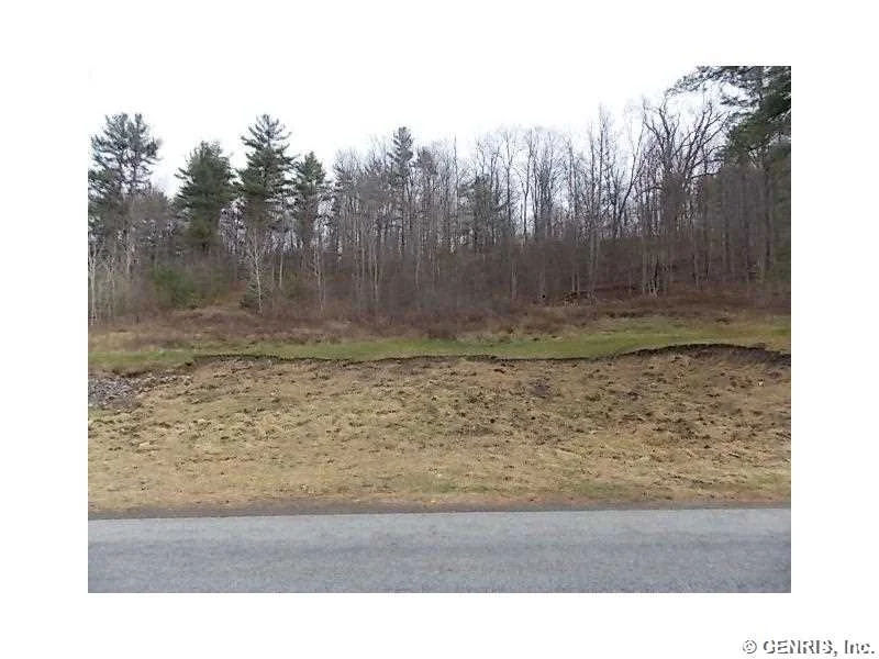 Unit for sale at 10224 County Route 46, Dansville, NY 14437