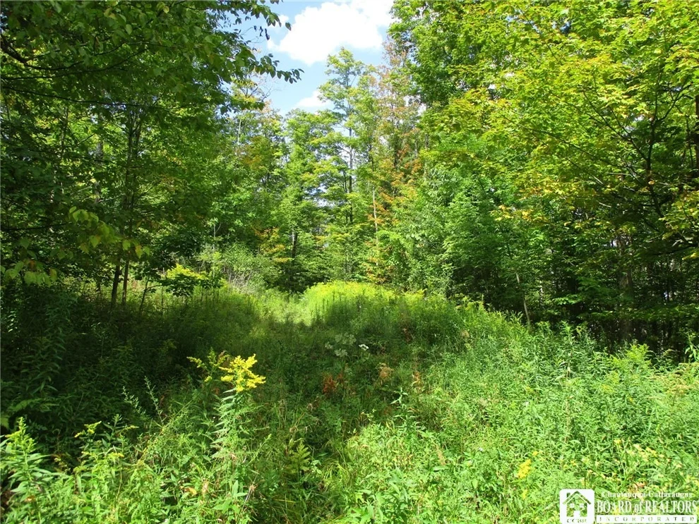 Unit for sale at 8250 Dobson Road, Birdsall, NY 14804