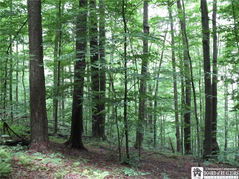 Unit for sale at 0 Four Mile Road, Allegany, NY 14706