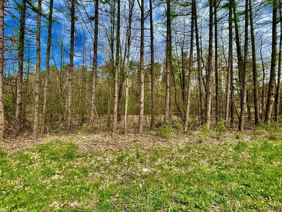 Unit for sale at 0 Cr-48, Albion, NY 13302