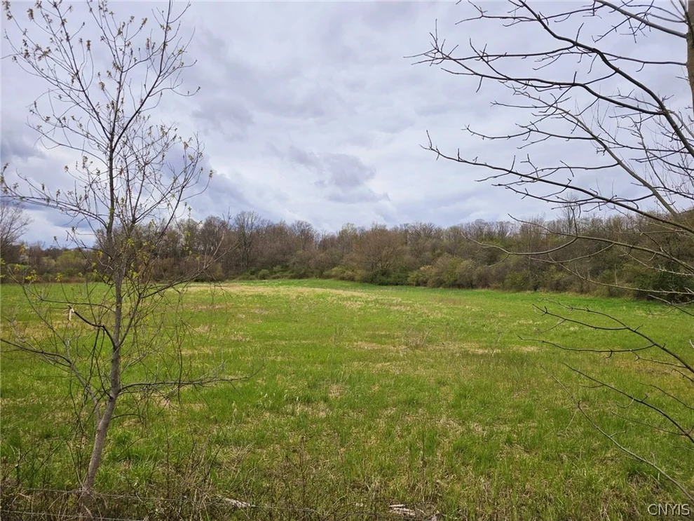 Unit for sale at Lot 11 Shepherd Road, Brutus, NY 13166