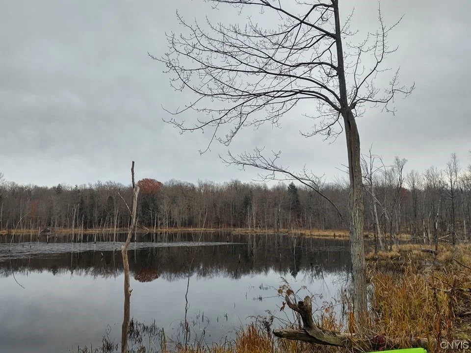 Unit for sale at 0 Us Hwy 11, Dekalb, NY 13630