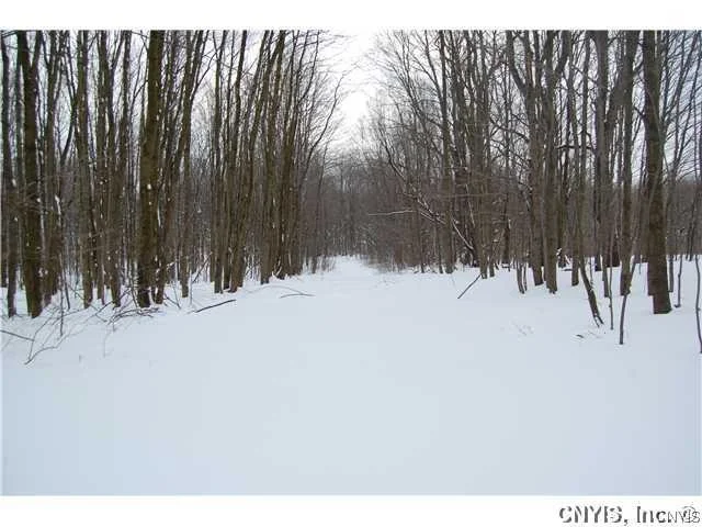 Unit for sale at 0 Co Rt 28, Albion, NY 13302