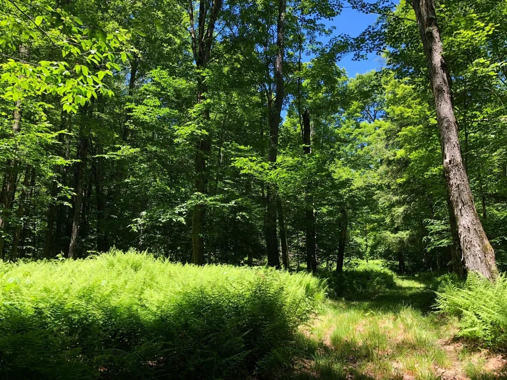 Unit for sale at 0 Dog Hill Road,  12155