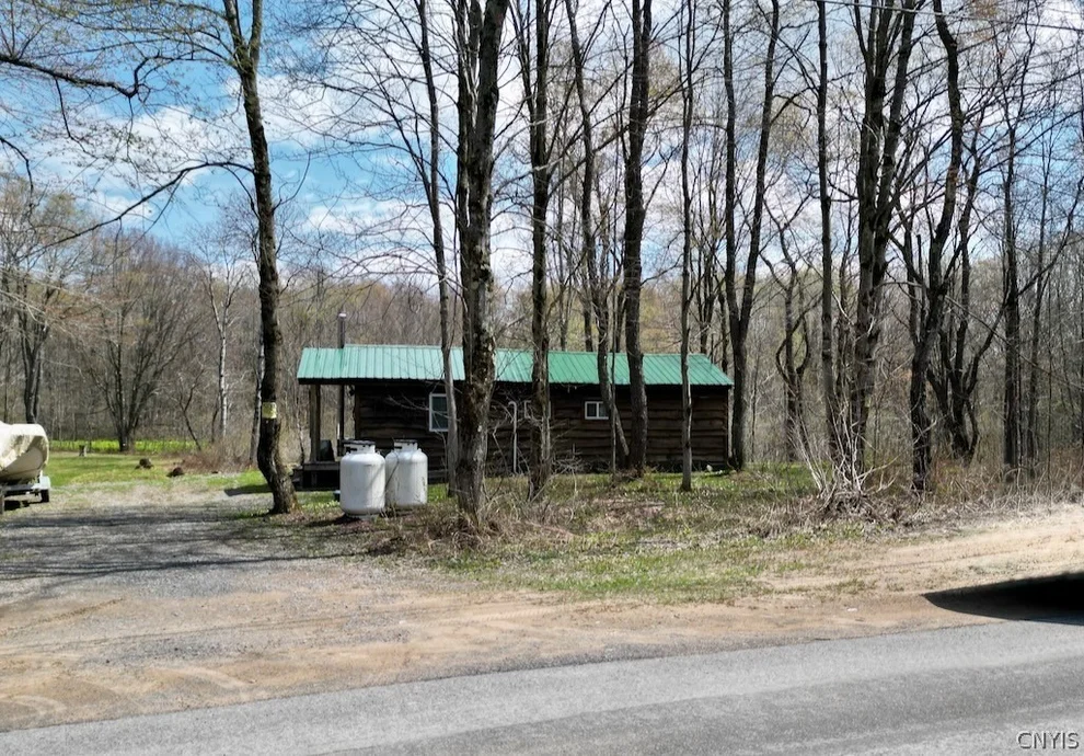Unit for sale at 168 Carpenter Road, Orwell, NY 13144