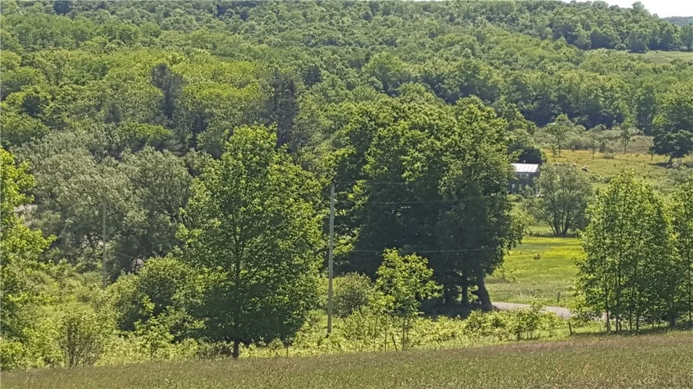Unit for sale at Stone Road, Freetown, NY 13040
