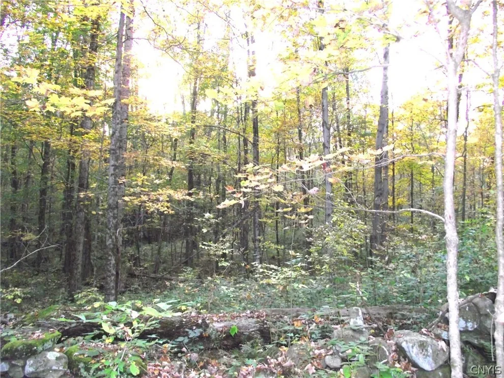 Unit for sale at Lot 2 Howard Road, Camden, NY 13316