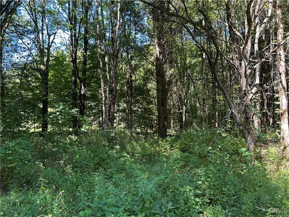 Unit for sale at 33 Austin Road, Albion, NY 13302