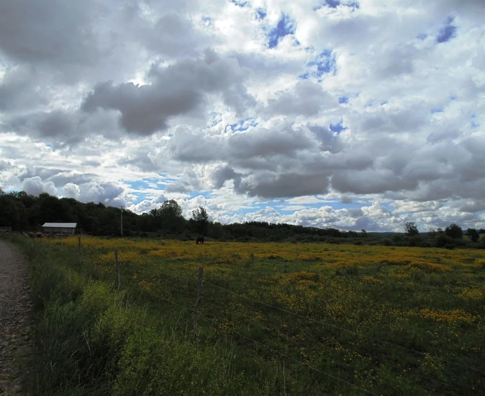 Unit for sale at 0 Donald Lane, Oxford, NY 13830