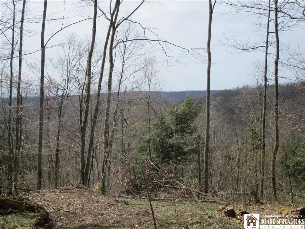 Unit for sale at 0 Indian Creek, Olean, NY 14760