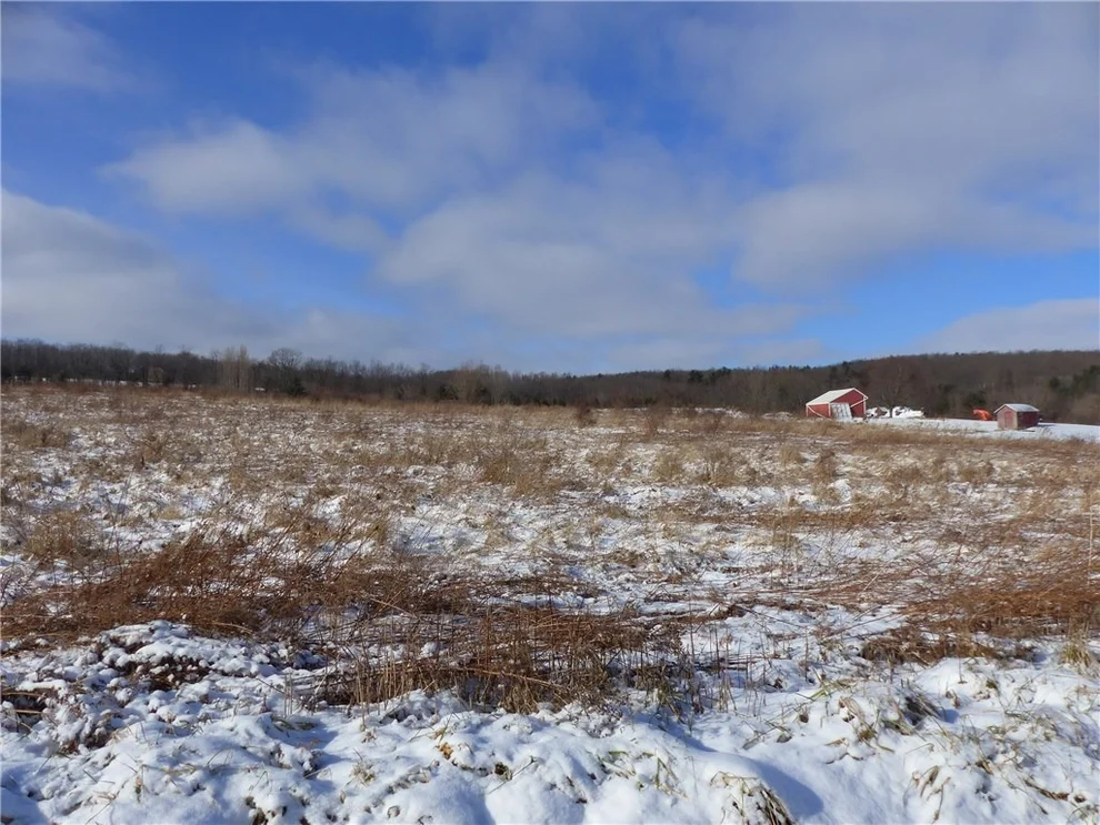 Unit for sale at 000 County Road 37 Lot #3, Canadice, NY 14560