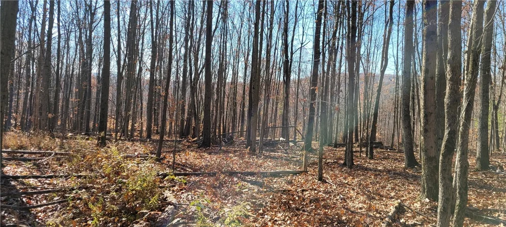 Unit for sale at Hagerman Road, Chemung, NY 14892