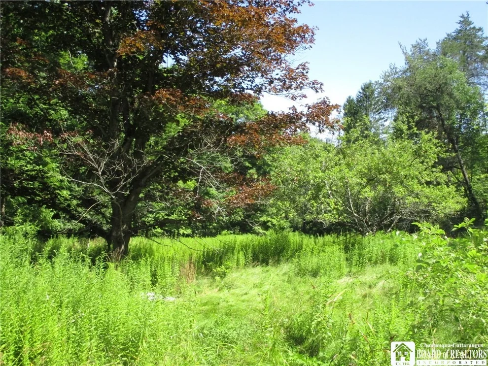 Unit for sale at 9581 State Route 243, Rushford, NY 14777
