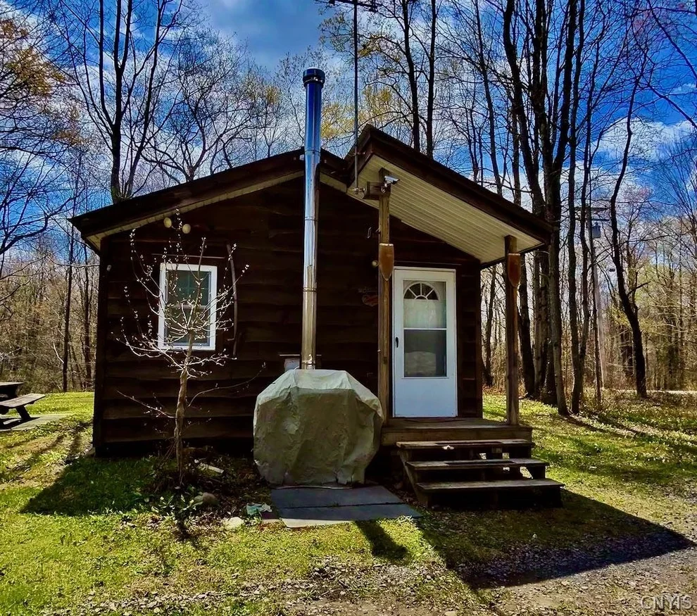 Unit for sale at 168 Carpenter Road, Orwell, NY 13144
