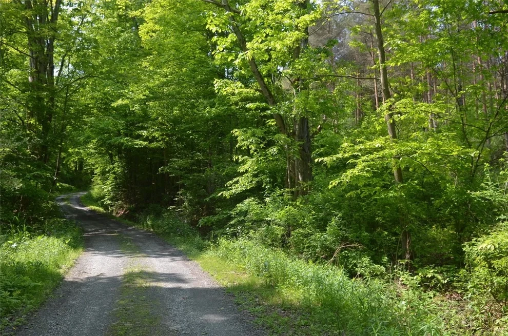 Unit for sale at 0 Caton Road, Caton, NY 14830